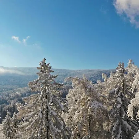 Villa Widokowka Karkonoska - Dom Na Wylacznosc