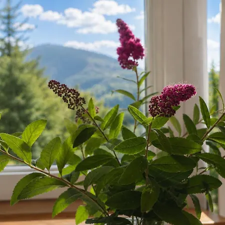 Widokowka Karkonoska - Dom Na Wylacznosc Apartmán *