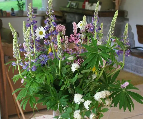 Widokowka Karkonoska - Dom Na Wylacznosc Villa *